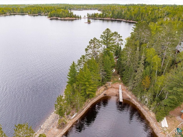 4015 E Van Rd, Duluth, MN 55803 - aerial view of a nearby body of water and a heavily wooded area