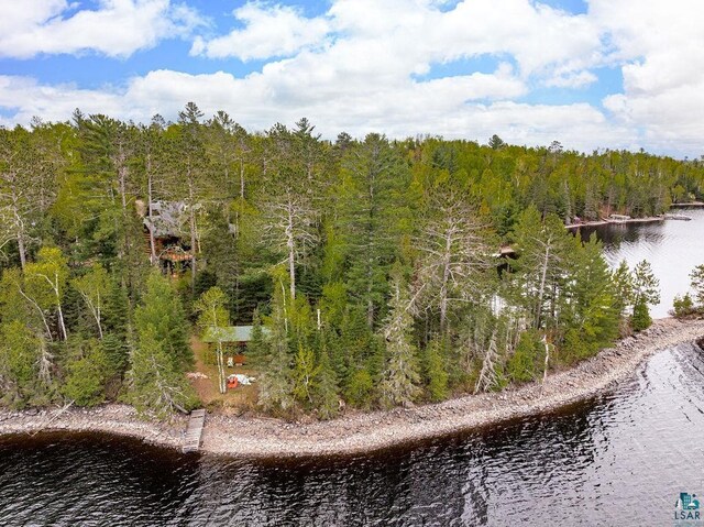 4015 E Van Rd, Duluth, MN 55803 - water view featuring a heavily wooded area
