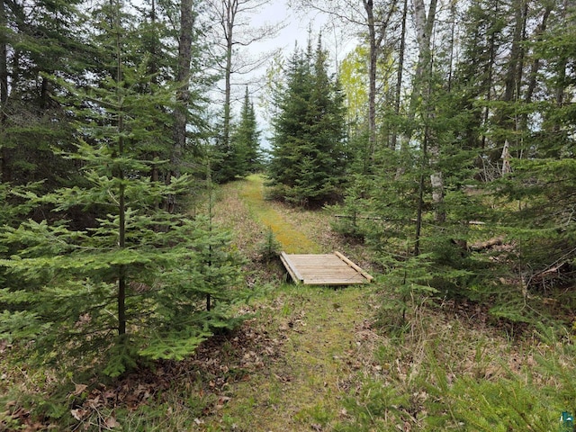XX Stone Point Ln, Lapointe, WI 54850