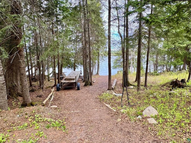 473 S Gunflint Lk, Grand Marais, MN 55604 - view of yard featuring a water view and dirt driveway