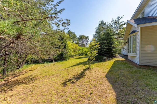 11 Ahola Rd, Ely, MN 55731 - view of green lawn