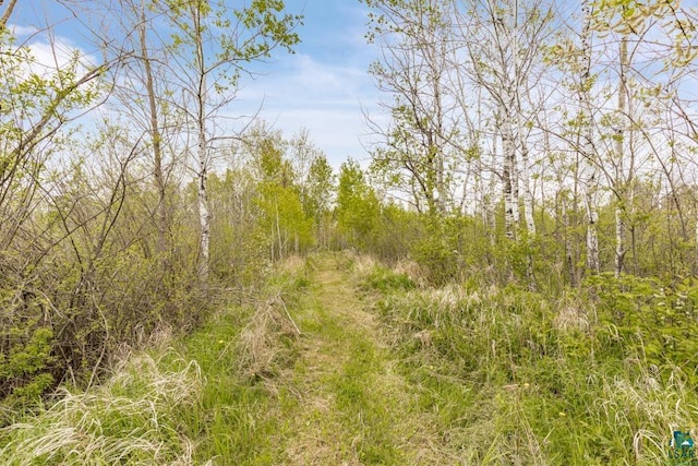 4085 County Road 6, Barnum, MN 55707