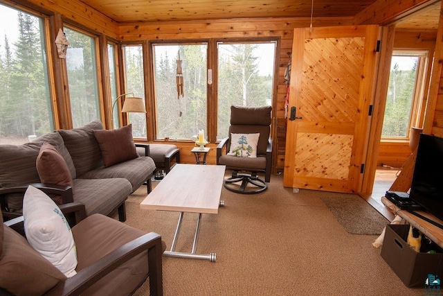 258 Soderberg Ln, Grand Marais, MN 55604 - carpeted living area with healthy amount of natural light and wood walls