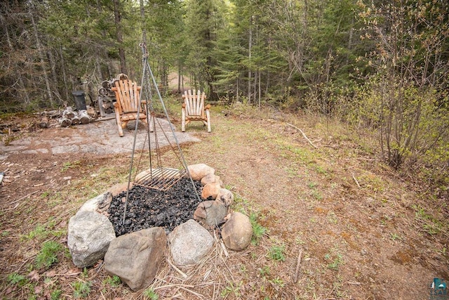 258 Soderberg Ln, Grand Marais, MN 55604 - view of yard