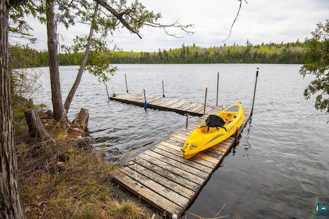 258 Soderberg Ln, Grand Marais, MN 55604 - dock area featuring a water view