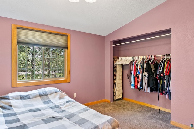 4527 Vermilion Trl, Gilbert, MN 55741 - carpeted bedroom with vaulted ceiling, a closet, baseboards, and a textured ceiling