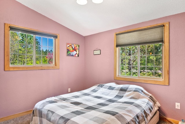 4527 Vermilion Trl, Gilbert, MN 55741 - bedroom featuring lofted ceiling, baseboards, carpet flooring, and a textured wall