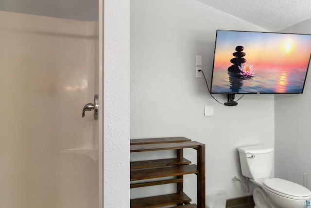 4527 Vermilion Trl, Gilbert, MN 55741 - full bathroom with toilet, a textured ceiling, and a shower