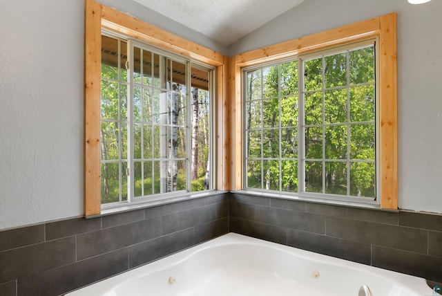 4527 Vermilion Trl, Gilbert, MN 55741 - bathroom featuring a tub with jets, vaulted ceiling, and a textured wall