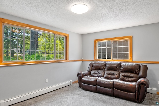 4527 Vermilion Trl, Gilbert, MN 55741 - carpeted living area featuring a baseboard heating unit, a textured ceiling, and baseboards