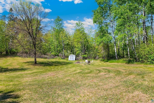 4527 Vermilion Trl, Gilbert, MN 55741 - view of grassy yard