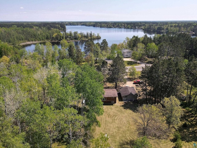 4527 Vermilion Trl, Gilbert, MN 55741 - drone / aerial view of a heavily wooded area and a large body of water