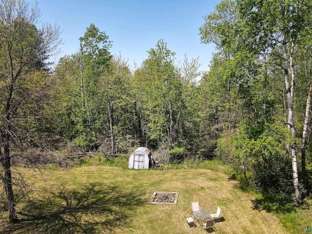 4527 Vermilion Trl, Gilbert, MN 55741 - view of green lawn with a view of trees