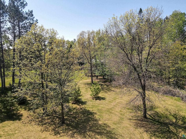 4527 Vermilion Trl, Gilbert, MN 55741 - view of undeveloped land