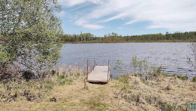 7470 S Point Rd, Britt, MN 55703