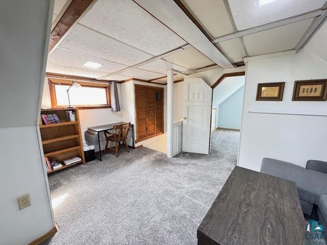1917 Greysolon Rd, Duluth, MN 55812 - basement with carpet