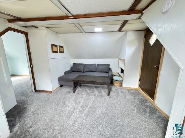 1917 Greysolon Rd, Duluth, MN 55812 - living area featuring carpet flooring and vaulted ceiling