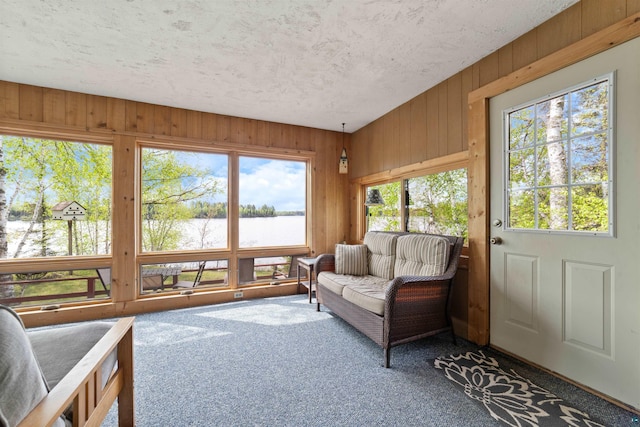 9320 W Branch Rd, Duluth, MN 55803 - sunroom / solarium with a water view, carpet floors, plenty of natural light, wooden walls, and a textured ceiling
