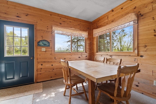 9320 W Branch Rd, Duluth, MN 55803 - dining space with healthy amount of natural light and wood walls