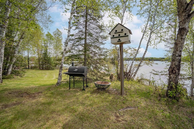9320 W Branch Rd, Duluth, MN 55803 - view of green lawn featuring a water view