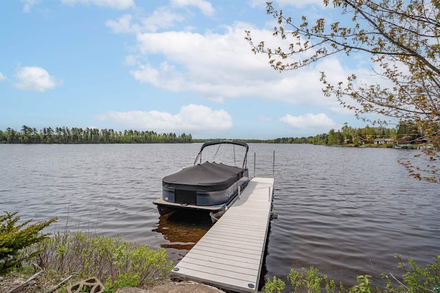9320 W Branch Rd, Duluth, MN 55803 - dock area with a water view