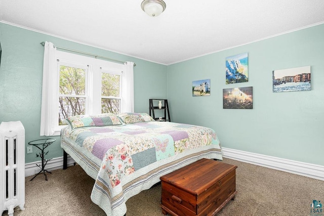 619 W Skyline Pkwy, Duluth, MN 55806 - bedroom featuring carpet, baseboards, crown molding, and radiator heating unit