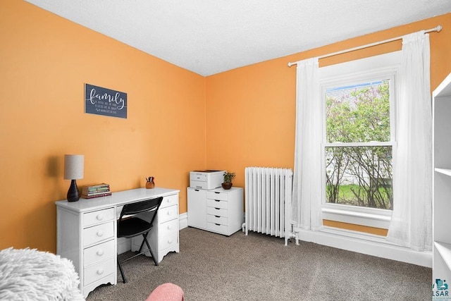 619 W Skyline Pkwy, Duluth, MN 55806 - office with radiator heating unit and carpet floors