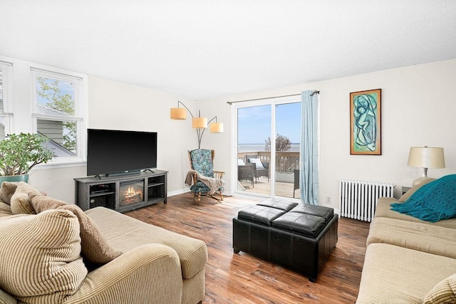 619 W Skyline Pkwy, Duluth, MN 55806 - living area featuring radiator, wood finished floors, and baseboards