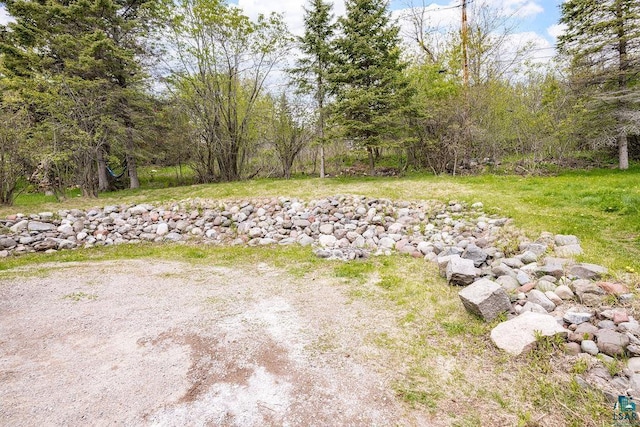 619 W Skyline Pkwy, Duluth, MN 55806 - view of yard