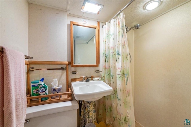 997 85th Ave W, Duluth, MN 55808 - bathroom with toilet, a shower with curtain, and a sink