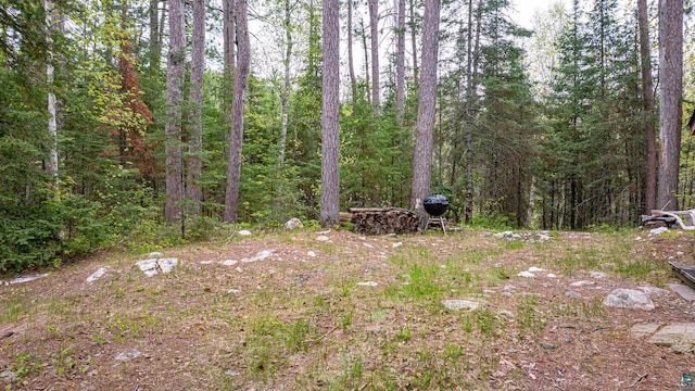 2260 Goldmine Rd, Ely, MN 55731 - view of wooded area