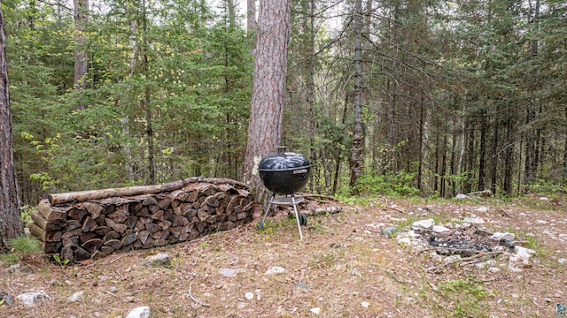 2260 Goldmine Rd, Ely, MN 55731 - view of yard with a forest view