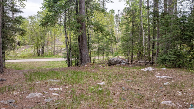 2260 Goldmine Rd, Ely, MN 55731 - view of yard featuring a view of trees