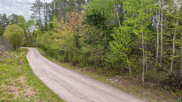 2260 Goldmine Rd, Ely, MN 55731 - view of dirt / gravel road featuring a view of trees