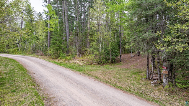 2260 Goldmine Rd, Ely, MN 55731 - view of street with a wooded view