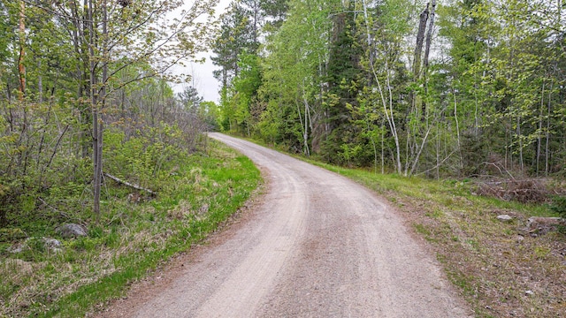 2260 Goldmine Rd, Ely, MN 55731 - view of dirt / gravel road with a wooded view