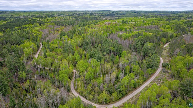 2260 Goldmine Rd, Ely, MN 55731 - aerial overview of property's location with a heavily wooded area