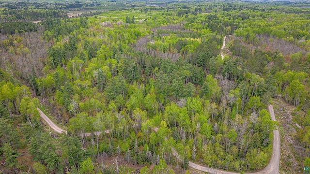 2260 Goldmine Rd, Ely, MN 55731 - view of property location with a heavily wooded area