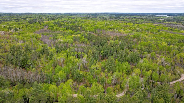 2260 Goldmine Rd, Ely, MN 55731 - aerial view of property and surrounding area with a forest