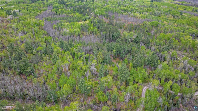 2260 Goldmine Rd, Ely, MN 55731 - view of property location with a forest