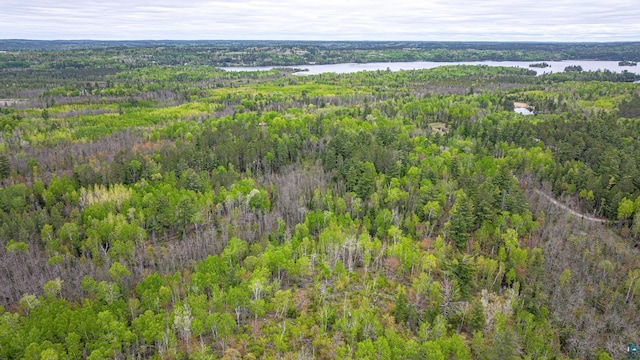 2260 Goldmine Rd, Ely, MN 55731 - bird's eye view of a forest and a large body of water