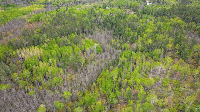 2260 Goldmine Rd, Ely, MN 55731 - drone / aerial view of a forest