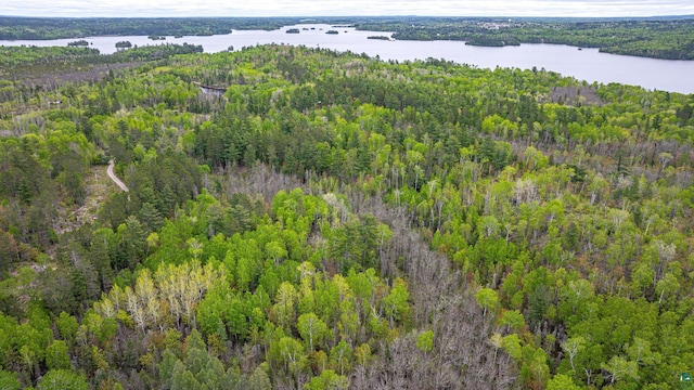 2260 Goldmine Rd, Ely, MN 55731 - aerial view of property and surrounding area featuring a forest and a nearby body of water