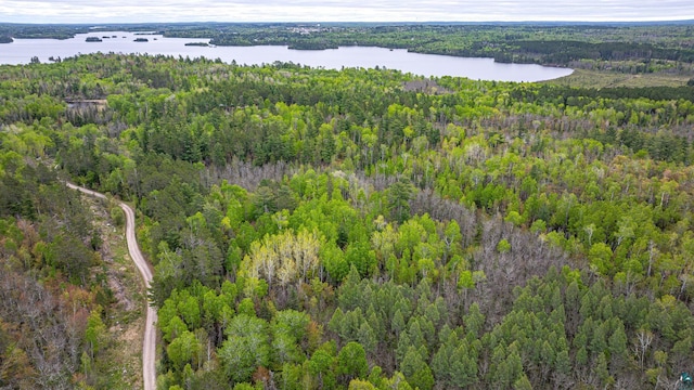 2260 Goldmine Rd, Ely, MN 55731 - aerial view of property and surrounding area with a heavily wooded area and a nearby body of water