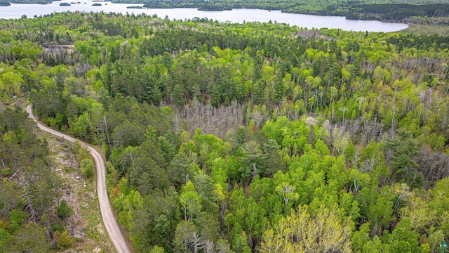 2260 Goldmine Rd, Ely, MN 55731 - view of property location with a forest and a large body of water