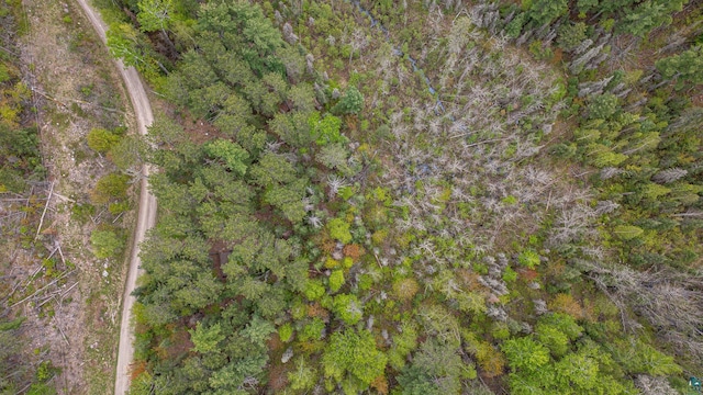 2260 Goldmine Rd, Ely, MN 55731 - aerial overview of property's location