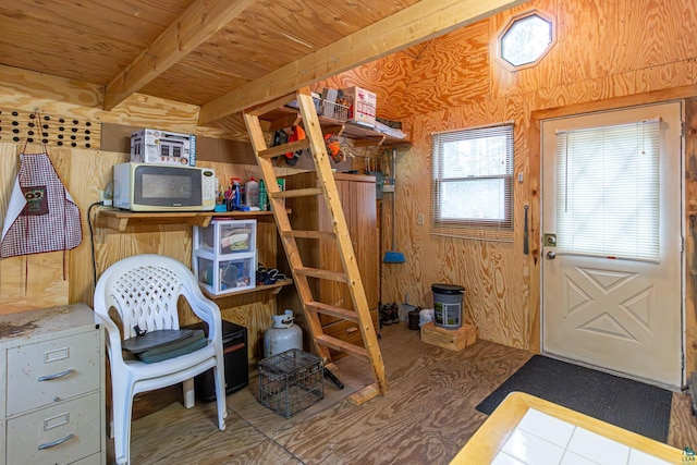 2260 Goldmine Rd, Ely, MN 55731 - view of storage