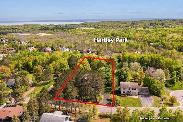 596 W Wabasha St, Duluth, MN 55803 - aerial view of property's location featuring a forest and property parcel outlined