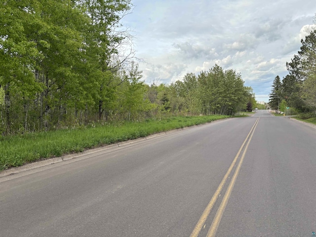XX W Myrtle St, Duluth, MN 55811