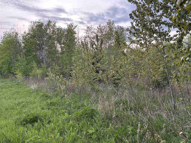 XX W Myrtle St, Duluth, MN 55811
